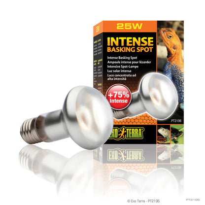 Exo Terra Intense Basking Spot Lamp | UVA Reptile Heat Bulb | 25W