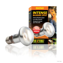Exo Terra Intense Basking Spot Lamp | UVA Reptile Heat Bulb | 50W