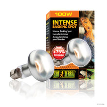 Exo Terra Intense Basking Spot Lamp | UVA Reptile Heat Bulb | 100W