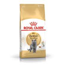 Royal Canin Feline Breed Nutrition British Shorthair Adult Dry Cat Food 10kg