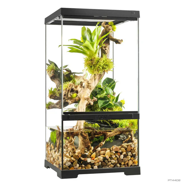 Exo Terra Pro Paludarium X-Small X-Tall Glass Terrarium 30 x 30 x 60 cm for Reptiles, Amphibians & Tropical Habitats