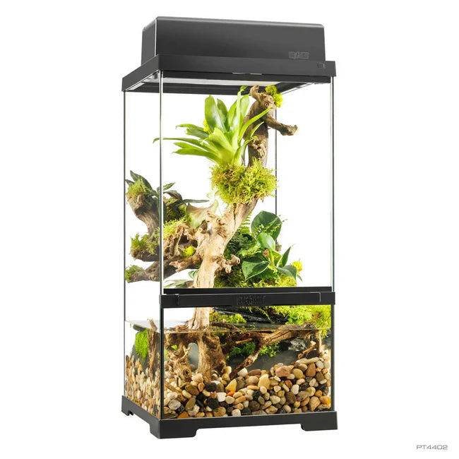 Exo Terra Pro Paludarium X-Small X-Tall Glass Terrarium 30 x 30 x 60 cm for Reptiles, Amphibians & Tropical Habitats