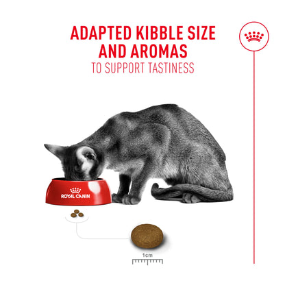 Royal Canin Feline Health Nutrition Fussy Cat