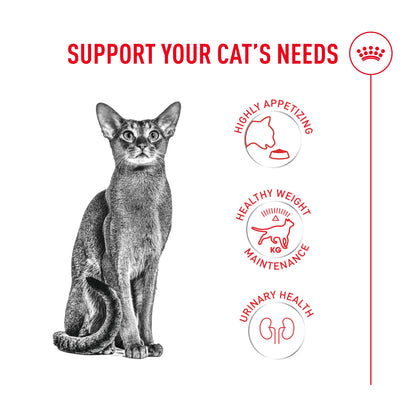 Royal Canin Feline Health Nutrition Fussy Cat