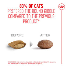 Royal Canin Feline Health Nutrition Ageing 11+ Dry Cat Food 2kg