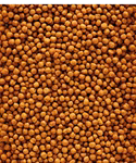 Versele Laga NutriBird F16 Extruded pellets