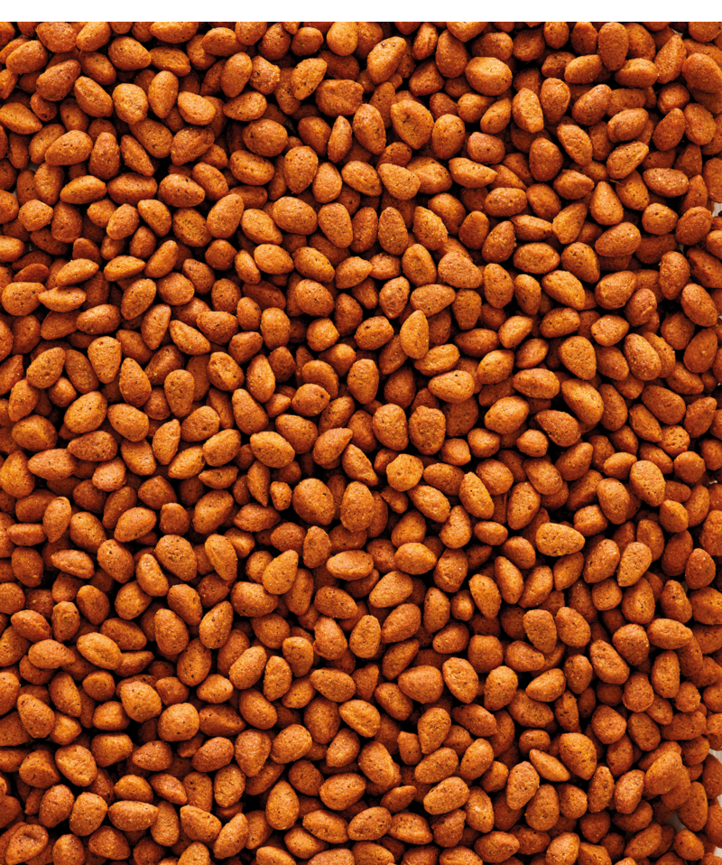 G18 Original Extruded pellets - Breeding food for big parakeets - monocolour