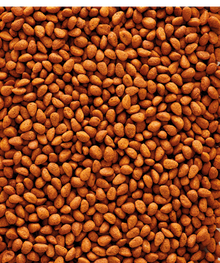 G18 Original Extruded pellets - Breeding food for big parakeets - monocolour