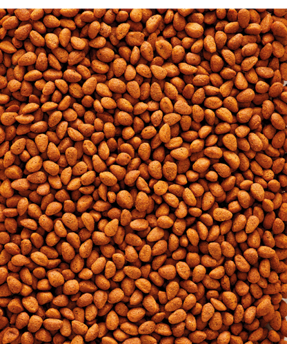 G18 Original Extruded pellets - Breeding food for big parakeets - monocolour