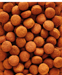 H16 Extruded pellet - Maintenance food for hornbills