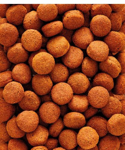 H16 Extruded pellet - Maintenance food for hornbills