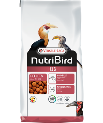 H16 Extruded pellet - Maintenance food for hornbills
