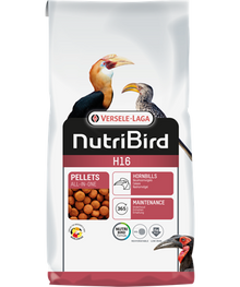 H16 Extruded pellet - Maintenance food for hornbills
