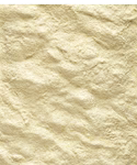 Versele Laga NutriBird A19 Bird Breeding Paste Hand-rearing food for macaws, African greys, eclectus parrots