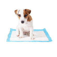 Duvo+ Pet Pad (P-PAD) - Dog Training Medium - 30pcs - 30x45cm