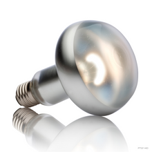 Exo Terra Intense Basking Spot 150 W