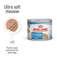 Royal Canin Canine Health Nutrition Starter Mousse (Wet Food - Cans) 12 x 195 g