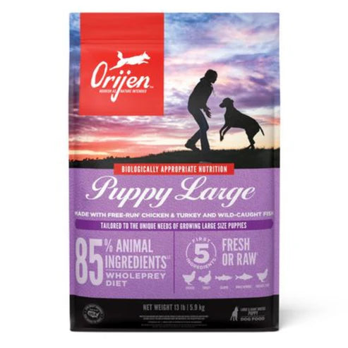 Orijen Large Breed Puppy Protein-Rich Dog Dry Food