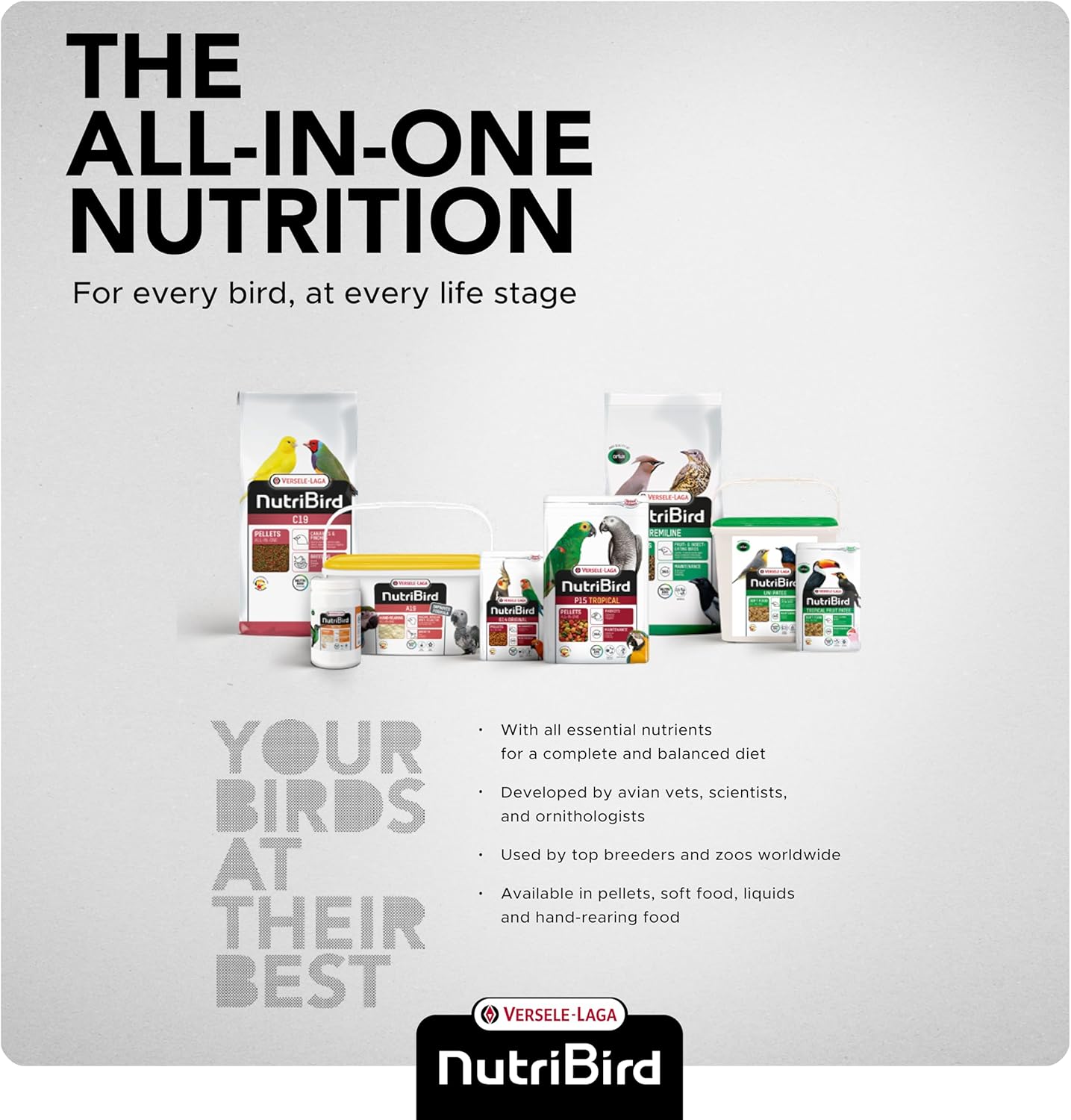 Versele Laga NutriBird A21 Bird Breeding Paste