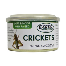 Crickets 35g
