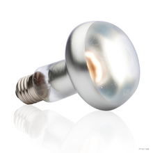 Exo Terra Intense Basking Spot 100 W