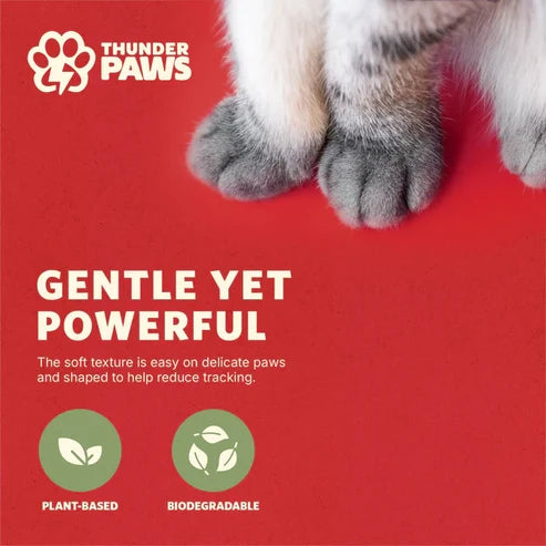 Thunder Paws Eco-Fresh Crushed Tofu Unscented Fast Clumping Cat Litter - 2.4KG