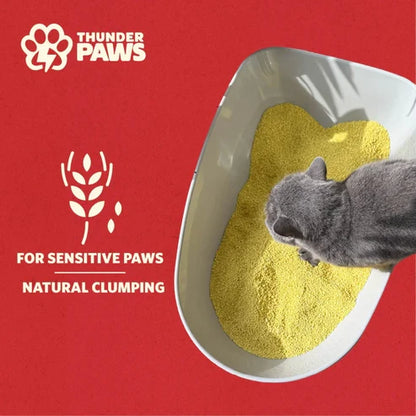 Thunder Paws Eco-Comfort Millet Cat Litter - 2.5KG