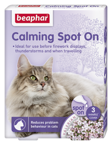 Calming Spot on Cat