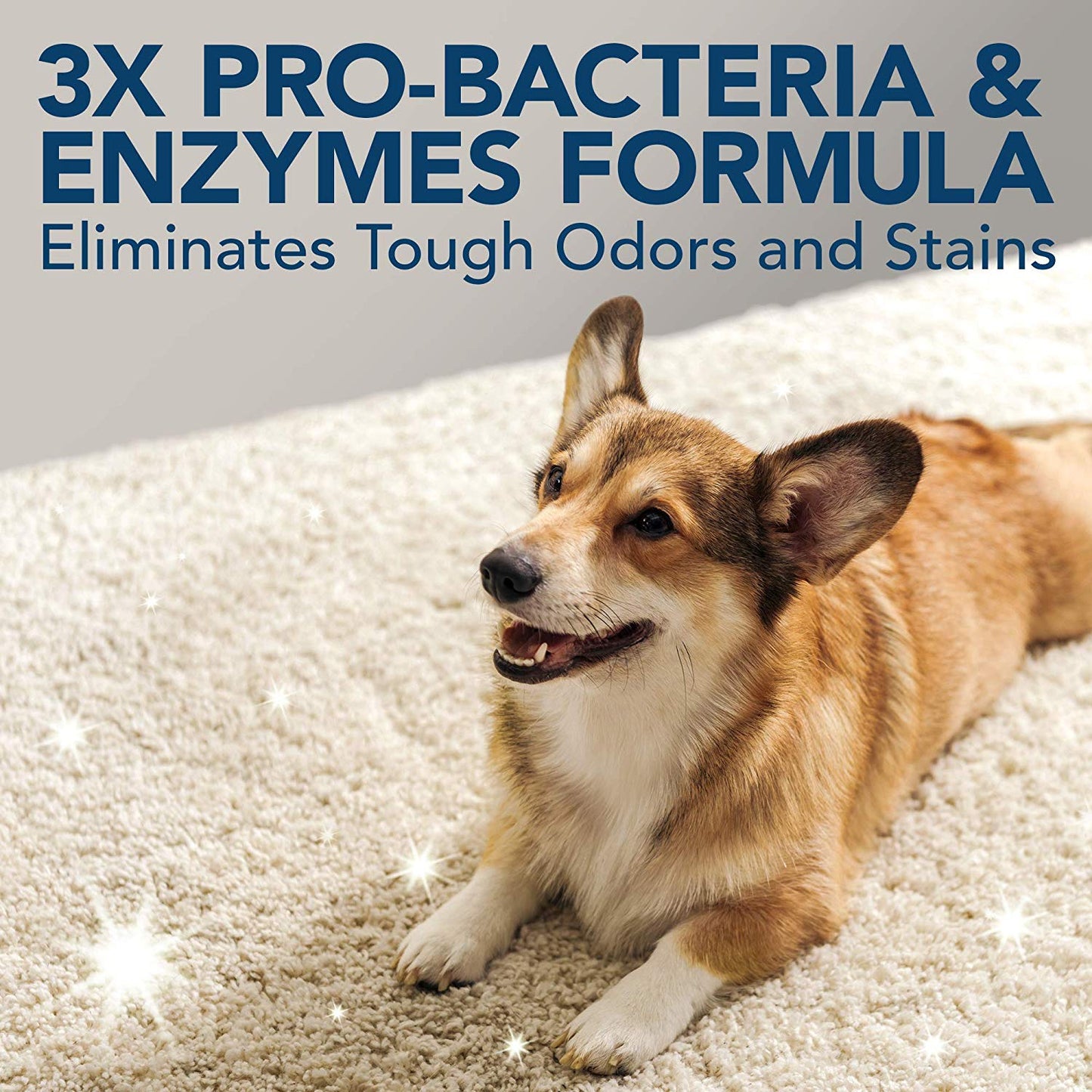 Extreme Pet Stain and Odor Remover 32 OZ