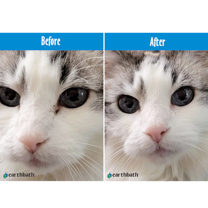 Earthbath Hypoallergenic Eye Wipes (Witch Hazel & Aloe) - 30 Wipes