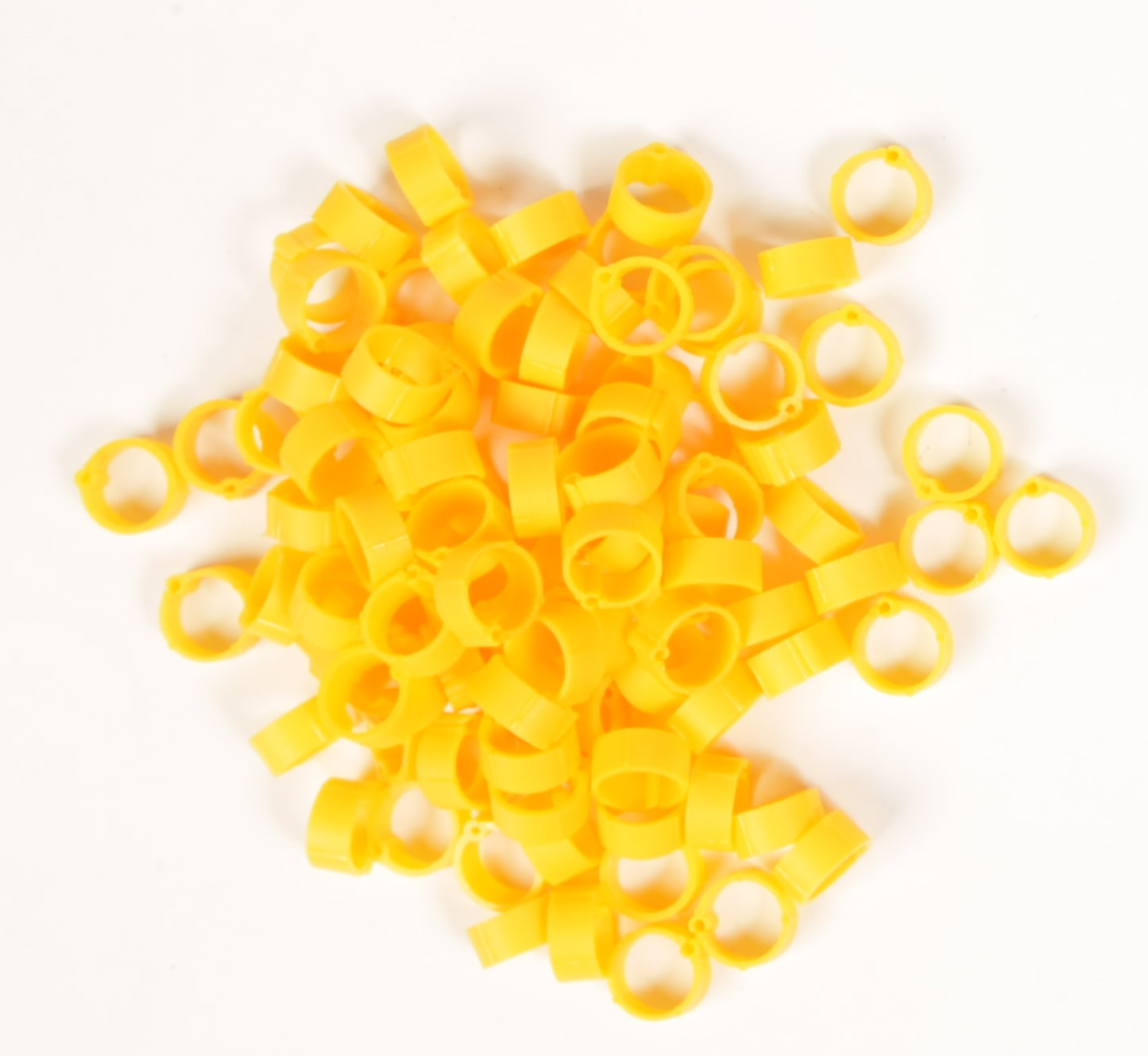 Pigeon Rings 12mm - pack of 100 pcs