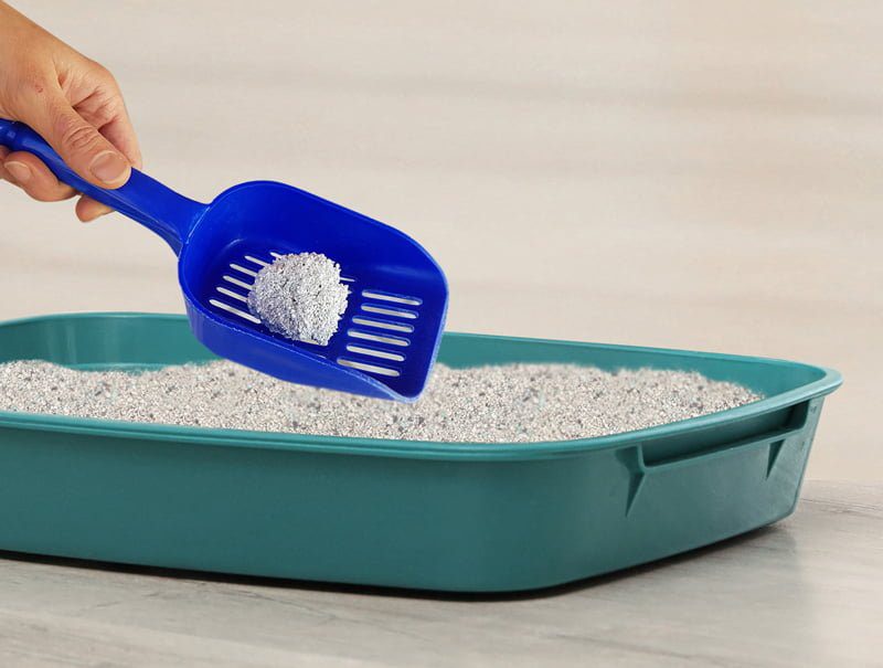 Kiki Kat White Bentonite Clumping Cat Litter – Activated Carbon – 5L (4.35 Kg)