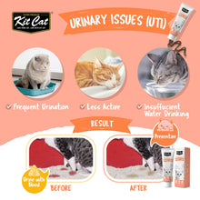Kit Cat Daily Nutritional Supplement Gel For Cats & Kittens - Urinary Care (120g)