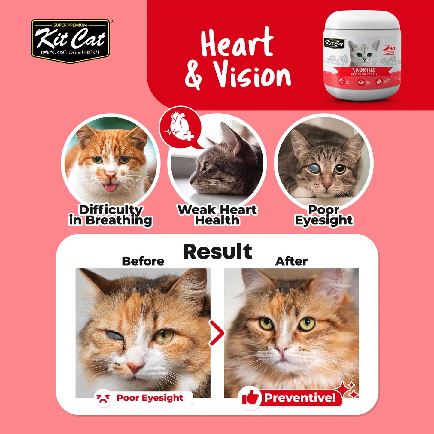 Kit Cat Taurine Supplement Powder 150g (5g x 30 Sachets)