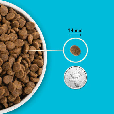 Acana Highest Protein Pacifica Recipe Dry Dog Food 2kg