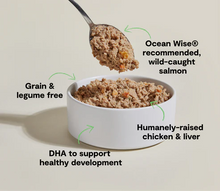 Open Farm Puppy Recipe Wet Dog Food 354g