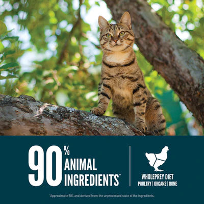 Orijen Guardian 8 - Nutrient-Rich Cat Dry Food