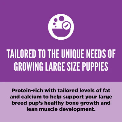 Orijen Large Breed Puppy Protein-Rich Dog Dry Food