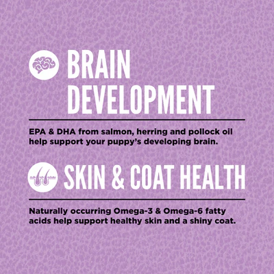 Orijen Large Breed Puppy Protein-Rich Dog Dry Food