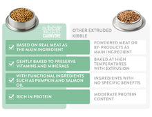 Schesir Born Carnivore Grain Free Oven Baked Dry Food [High-Protein] For Cat - Herring & Salmon  255g