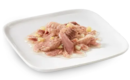 Schesir Dog Wet Food Can-Ocean Fish with Tuna- (Min Order 85g- 14pcs)[Weight - 85g]
