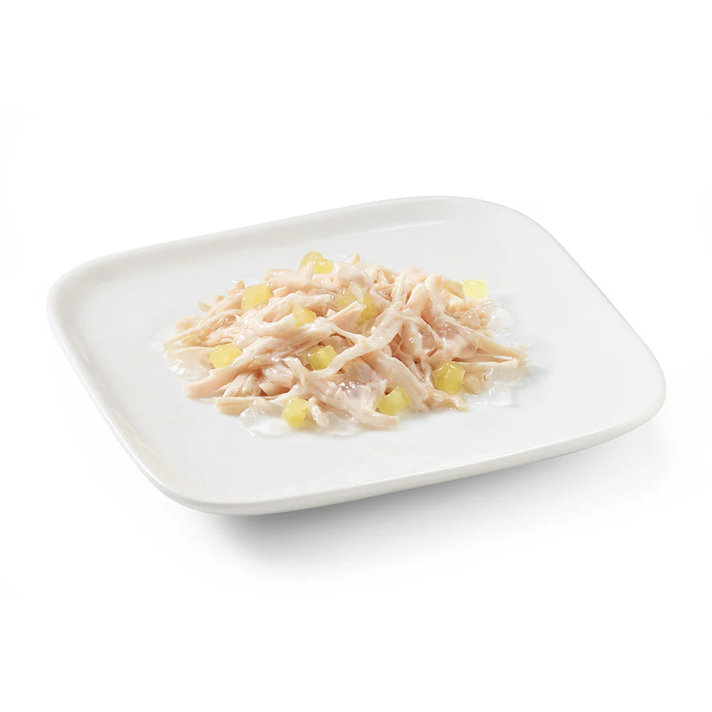 Schesir Dog Wet Food in Jelly Can-Chicken With Pineapple 150g [MOQ:10pcs]