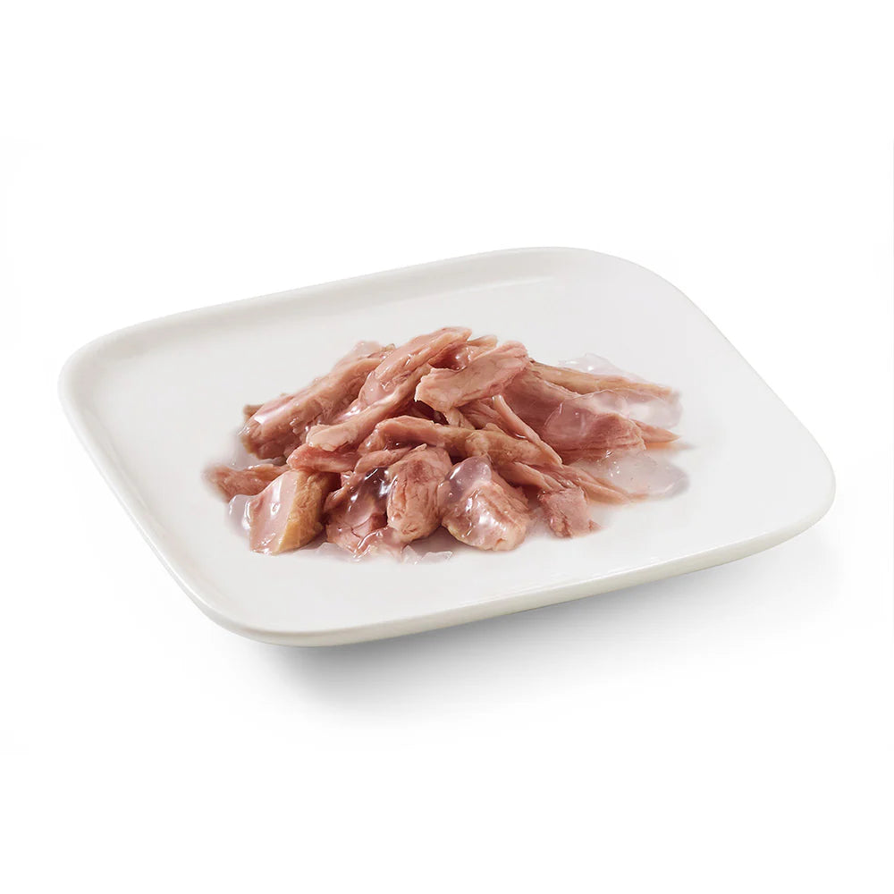 Schesir Dog Wet Food in Jelly Can-Tuna 150g [MOQ:10pcs]