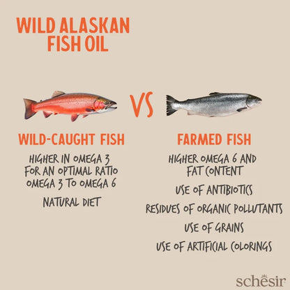 Schesir Grizzly Wild Alaskan Fish Oil Omega Plus 250ml