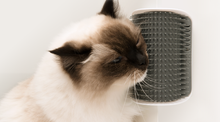 أداة تنظيف القطط الذاتية Catit Senses 2.0