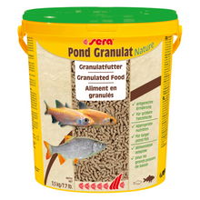 Sera Pond Granulate/Stick 20L