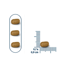 Seven Cats Cat Food For Sterilized - Salmon [Coat Beauty] 10kg+100g