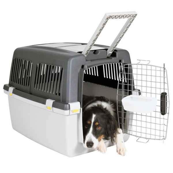 Beeztees Gulliver-Compliant with IATA Regulation Pet Carrier
