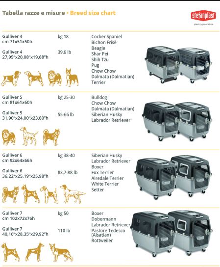 Beeztees Gulliver-Compliant with IATA Regulation Pet Carrier