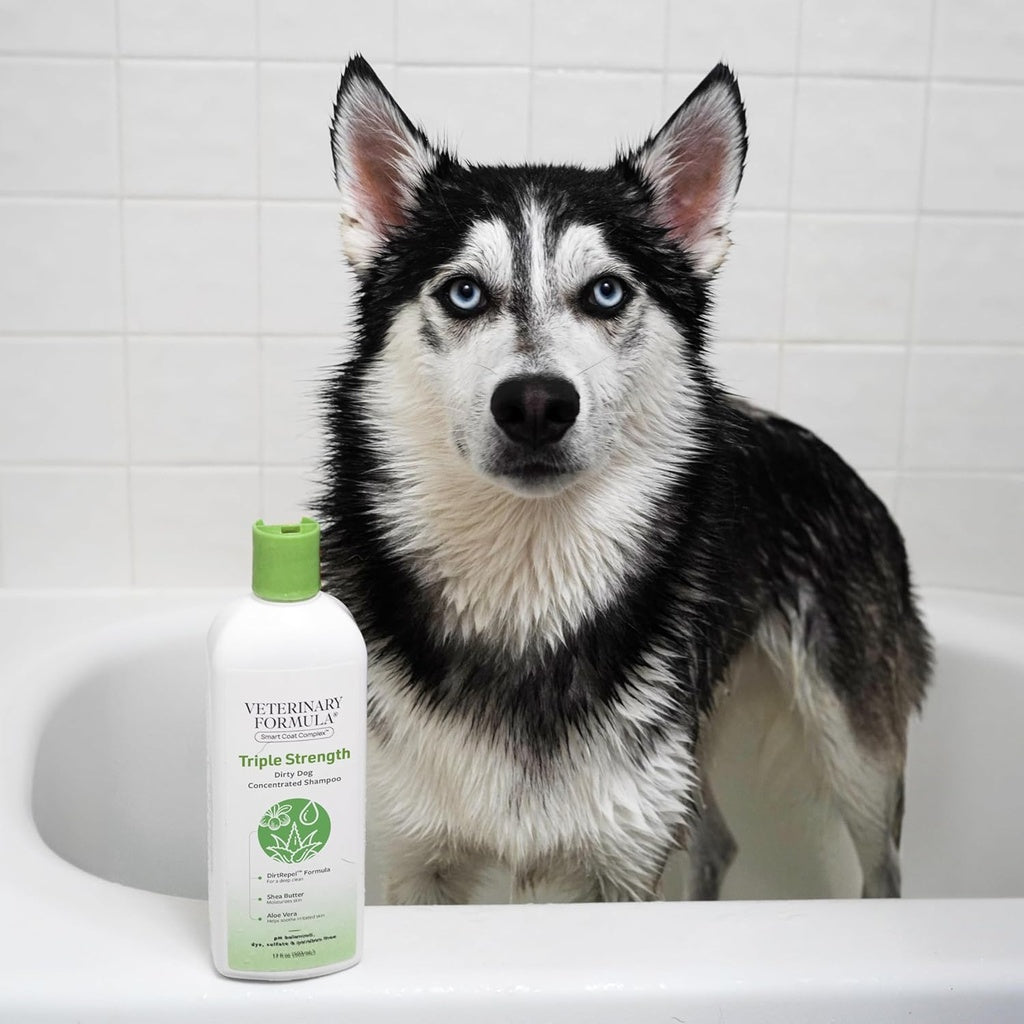 Synergy Labs Veterinary Formula Solutions Triple Strength Dirty Dog Concentrated Shampoo 17oz - 503ml